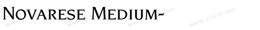 Novarese Medium字体转换